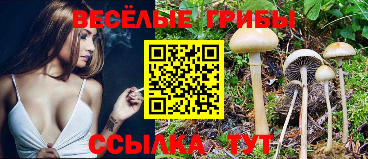 Псилоцибиновые грибы мицелий  Псилоцибиновые грибы Psilocybe  Реж  Вход с VPN 